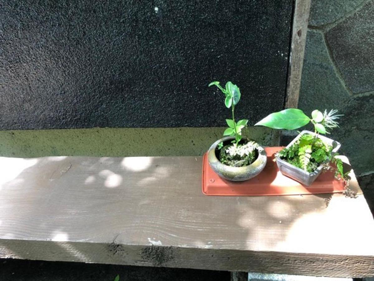 Chambre dhote Tatami Suwa  Eksteriør billede